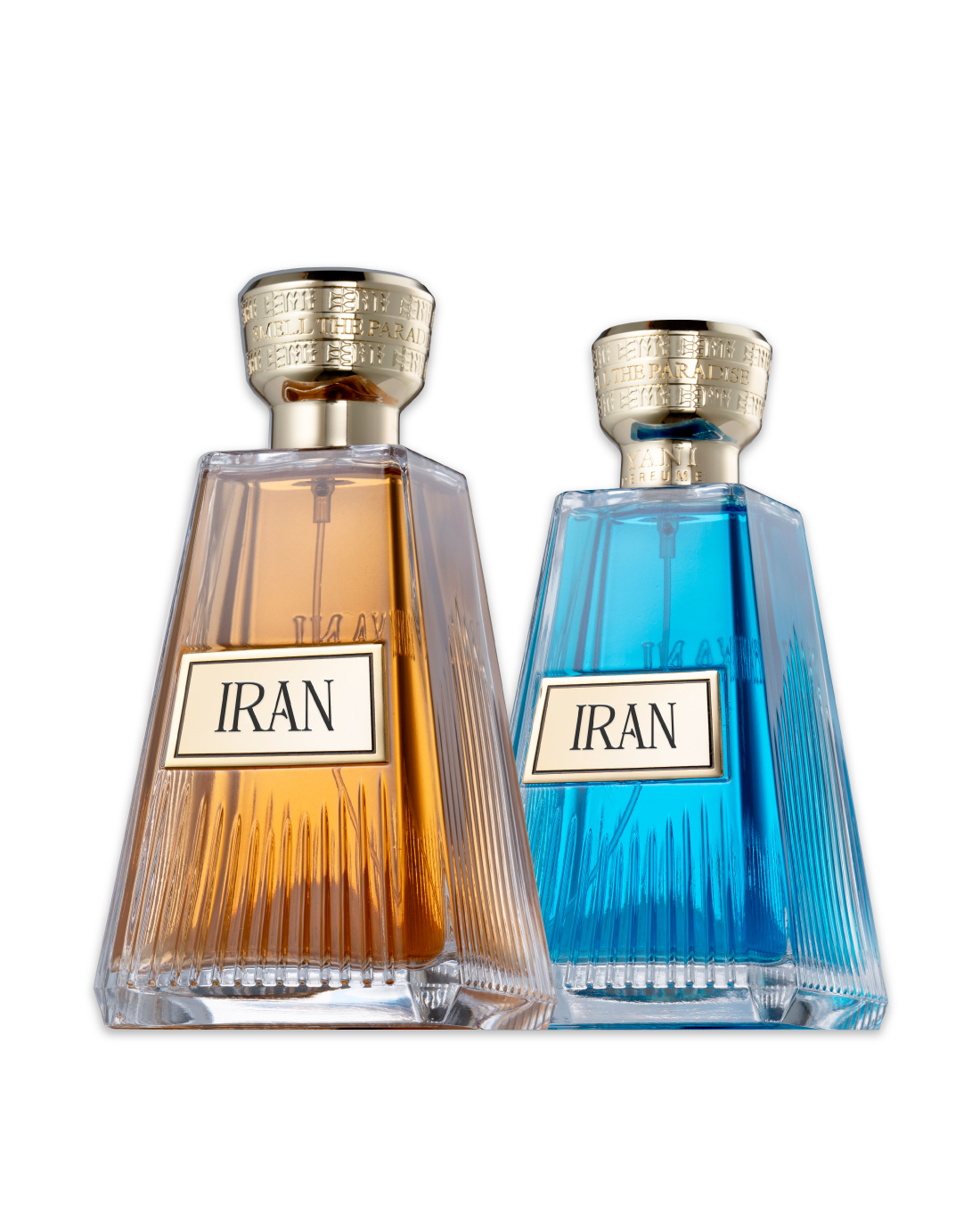 کالکشن لاکچری